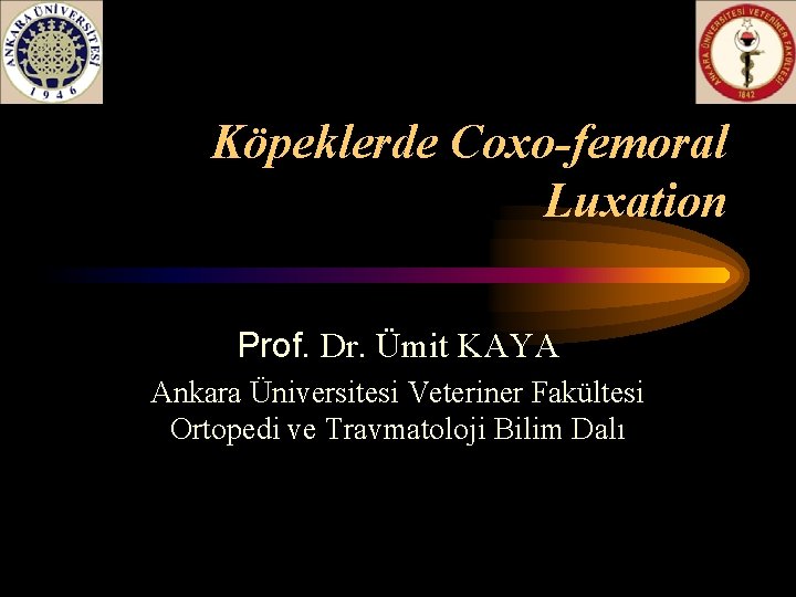 Köpeklerde Coxo-femoral Luxation Prof. Dr. Ümit KAYA Ankara Üniversitesi Veteriner Fakültesi Ortopedi ve Travmatoloji