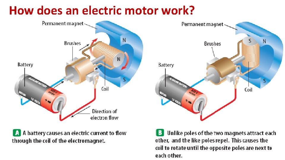 How does an electric motor work? 