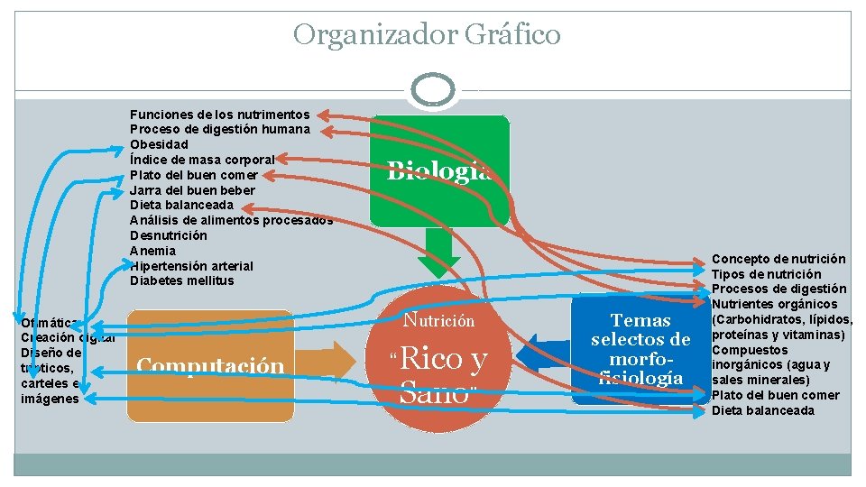 Organizador Gráfico Funciones de los nutrimentos Proceso de digestión humana Obesidad Índice de masa