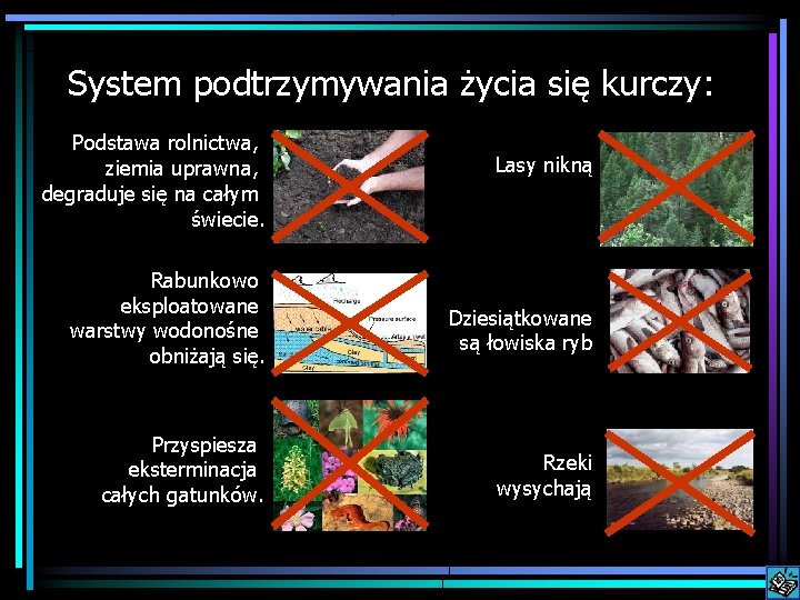 System podtrzymywania życia się kurczy: Podstawa rolnictwa, ziemia uprawna, degraduje się na całym świecie.