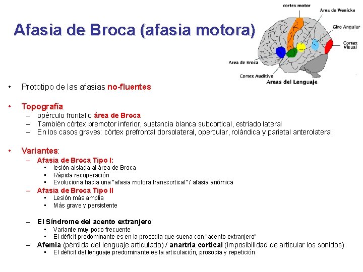 Afasia de Broca (afasia motora) • Prototipo de las afasias no-fluentes • Topografía: –