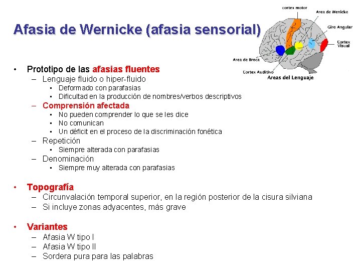 Afasia de Wernicke (afasia sensorial) • Prototipo de las afasias fluentes – Lenguaje fluido