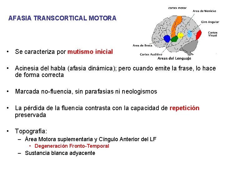 AFASIA TRANSCORTICAL MOTORA • Se caracteriza por mutismo inicial • Acinesia del habla (afasia