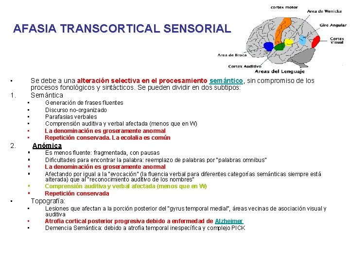 AFASIA TRANSCORTICAL SENSORIAL • Se debe a una alteración selectiva en el procesamiento semántico,