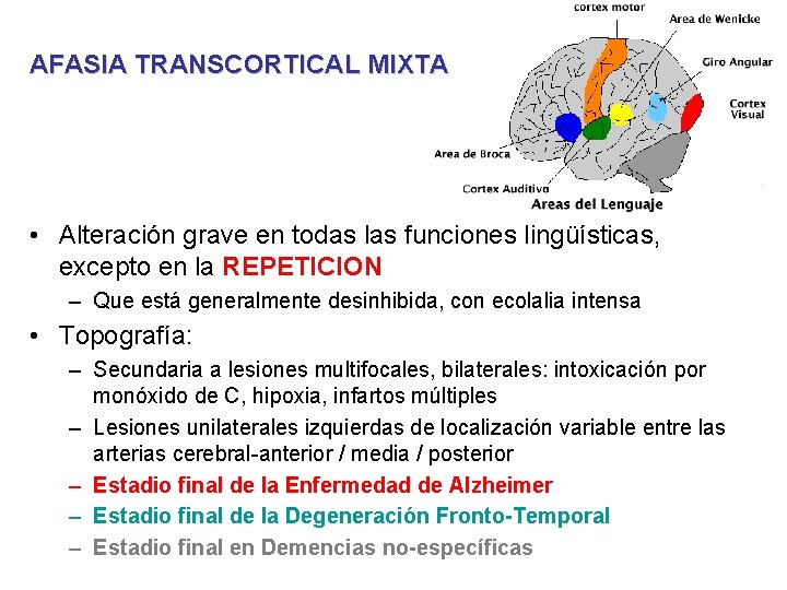 AFASIA TRANSCORTICAL MIXTA • Alteración grave en todas las funciones lingüísticas, excepto en la