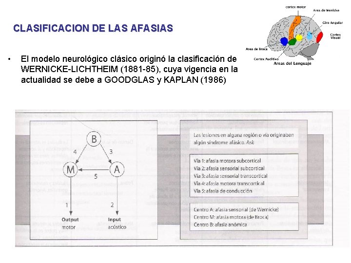 CLASIFICACION DE LAS AFASIAS • El modelo neurológico clásico originó la clasificación de WERNICKE-LICHTHEIM