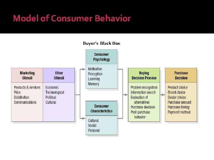 Model of Consumer Behavior Buyer’s Black Box 