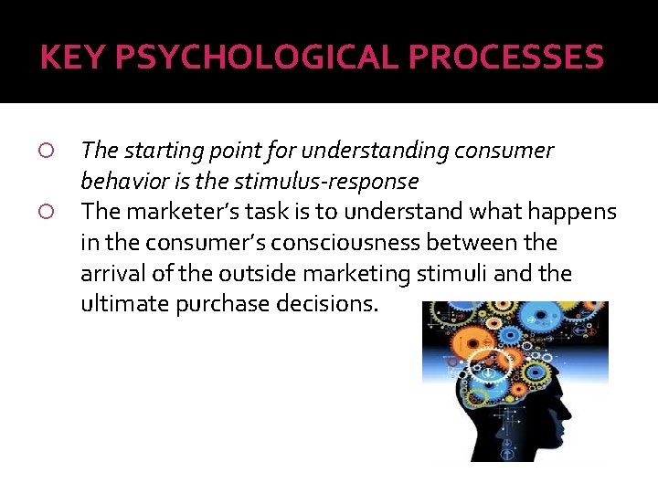 KEY PSYCHOLOGICAL PROCESSES The starting point for understanding consumer behavior is the stimulus response