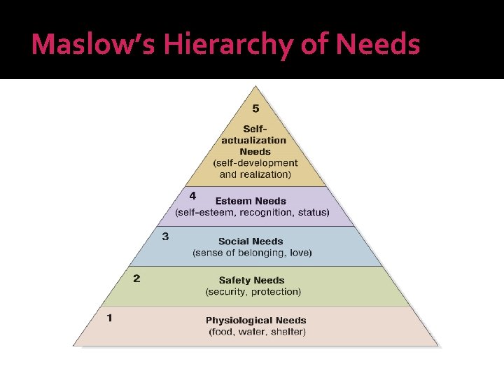 Maslow’s Hierarchy of Needs 