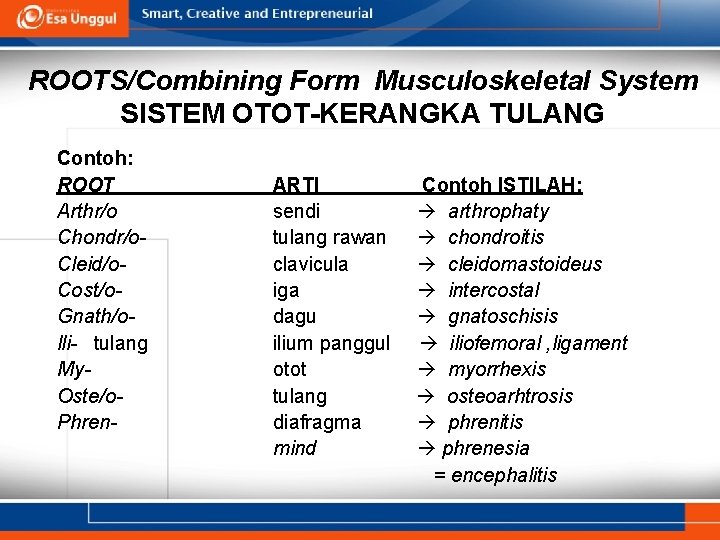 ROOTS/Combining Form Musculoskeletal System SISTEM OTOT-KERANGKA TULANG Contoh: ROOT Arthr/o Chondr/o. Cleid/o. Cost/o. Gnath/olli-