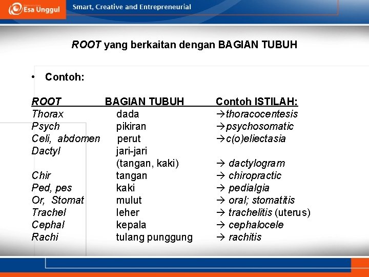 ROOT yang berkaitan dengan BAGIAN TUBUH • Contoh: ROOT BAGIAN TUBUH Thorax dada Psych