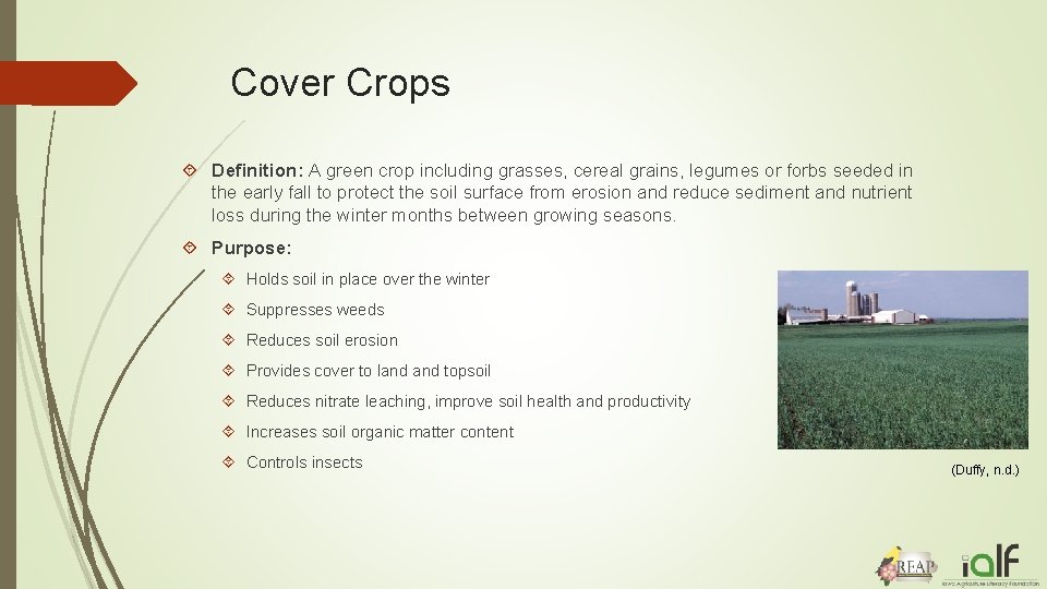 Cover Crops Definition: A green crop including grasses, cereal grains, legumes or forbs seeded