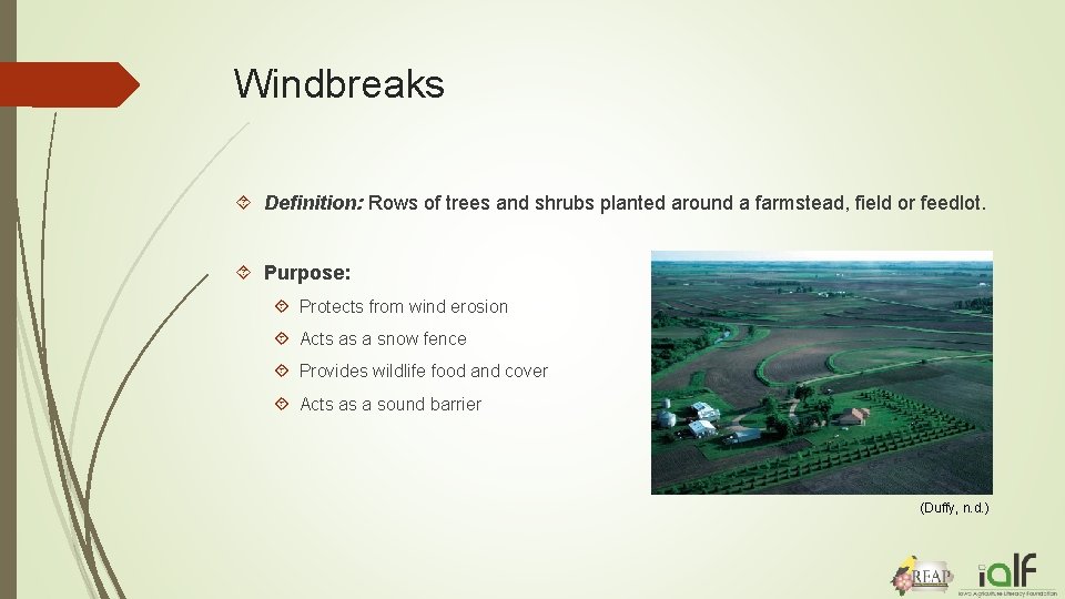 Windbreaks Definition: Rows of trees and shrubs planted around a farmstead, field or feedlot.