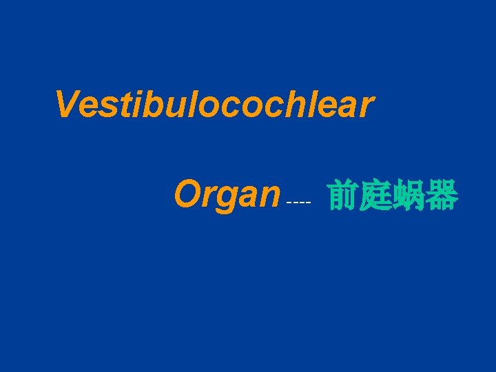 Vestibulocochlear Organ ---- 前庭蜗器 