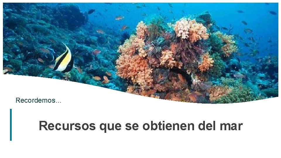 Recordemos… Recursos que se obtienen del mar 1 