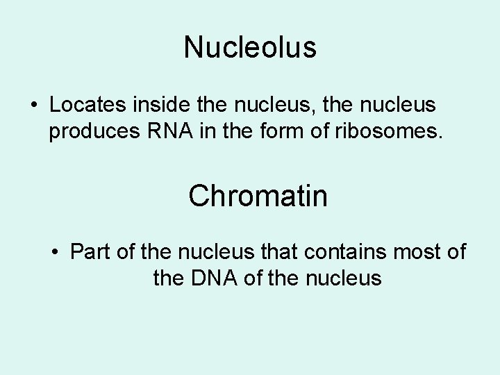 Nucleolus • Locates inside the nucleus, the nucleus produces RNA in the form of