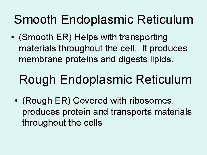 Smooth Endoplasmic Reticulum • (Smooth ER) Helps with transporting materials throughout the cell. It