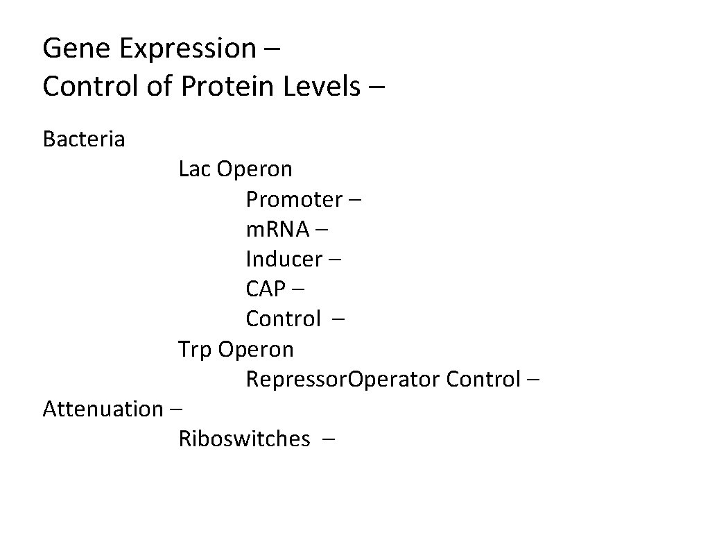 Gene Expression – Control of Protein Levels – Bacteria Lac Operon Promoter – m.