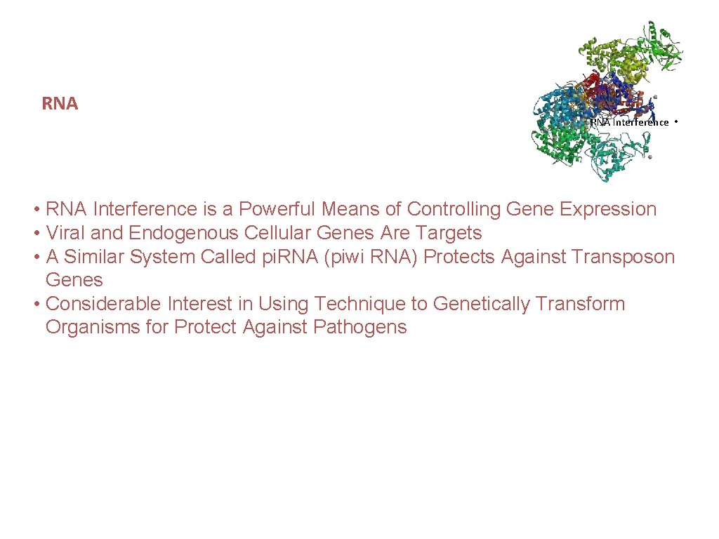 RNA Interference • • RNA Interference is a Powerful Means of Controlling Gene Expression