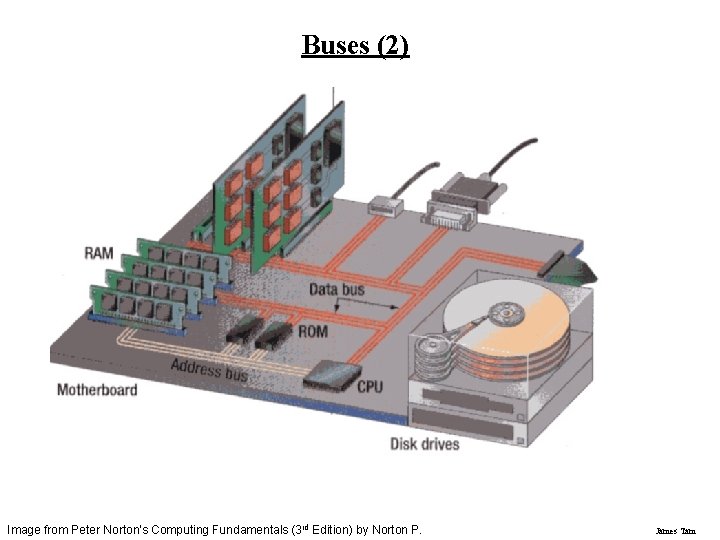 Buses (2) Image from Peter Norton's Computing Fundamentals (3 rd Edition) by Norton P. Buses (2) Image from Peter Norton's Computing Fundamentals (3 rd Edition) by Norton P.