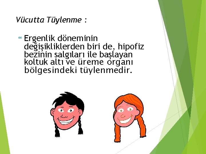 Vücutta Tüylenme : Ergenlik döneminin değişikliklerden biri de, hipofiz bezinin salgıları ile başlayan koltuk