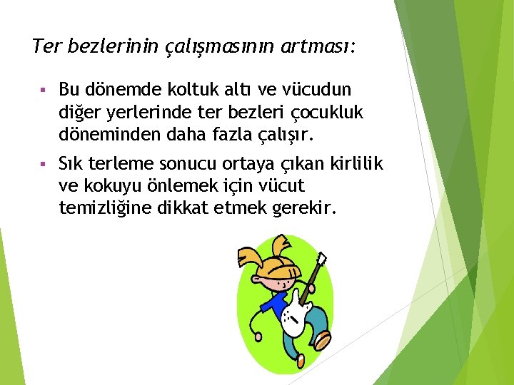 Ter bezlerinin çalışmasının artması: § Bu dönemde koltuk altı ve vücudun diğer yerlerinde ter