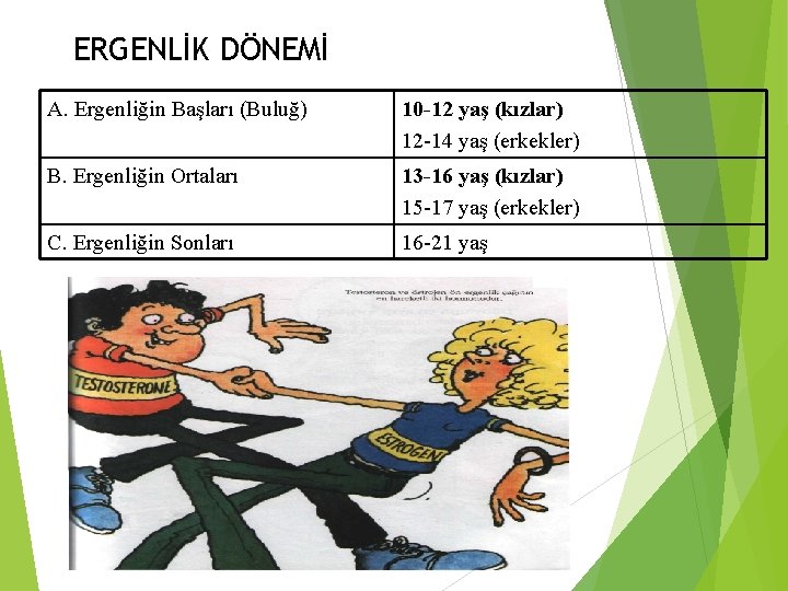 ERGENLİK DÖNEMİ A. Ergenliğin Başları (Buluğ) 10 -12 yaş (kızlar) 12 -14 yaş (erkekler)