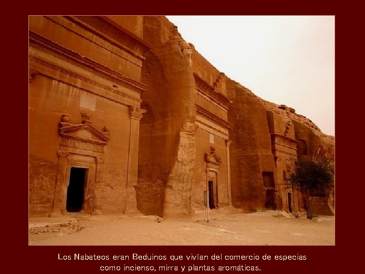Los Nabateos eran Beduinos que vivían del comercio de especias como incienso, mirra y