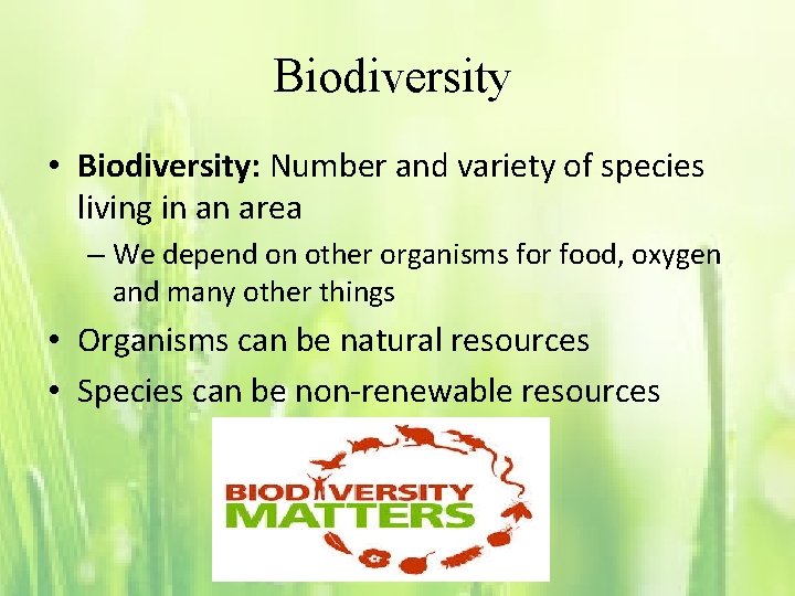 Biodiversity • Biodiversity: Number and variety of species living in an area – We