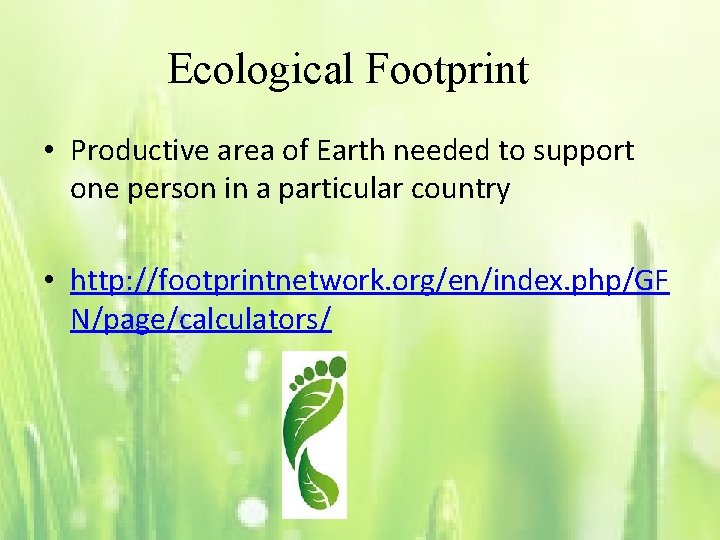 Ecological Footprint • Productive area of Earth needed to support one person in a