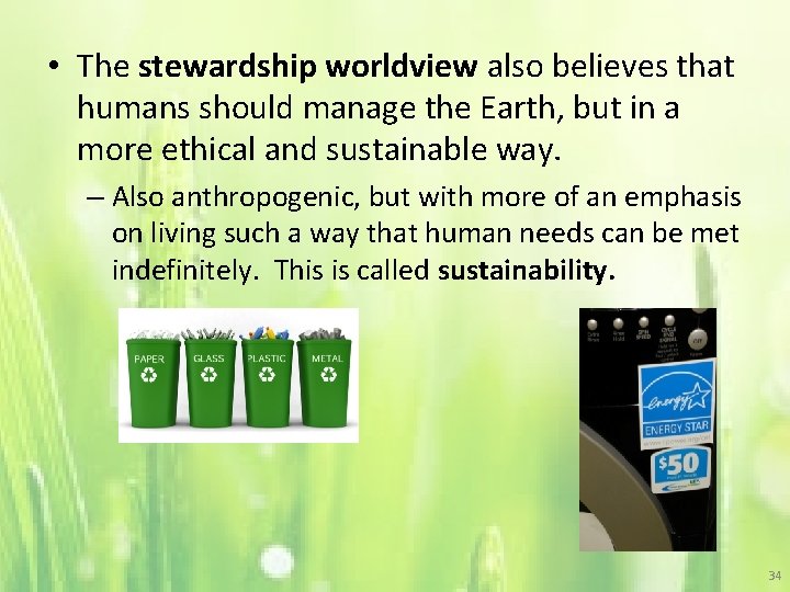  • The stewardship worldview also believes that humans should manage the Earth, but