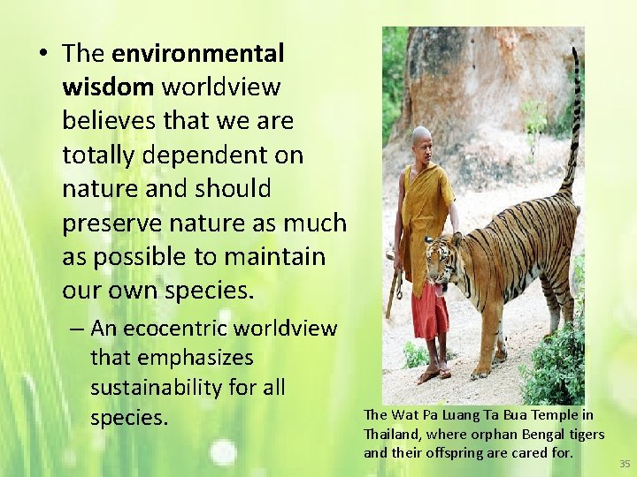  • The environmental wisdom worldview believes that we are totally dependent on nature