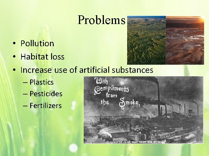 Problems • Pollution • Habitat loss • Increase use of artificial substances – Plastics