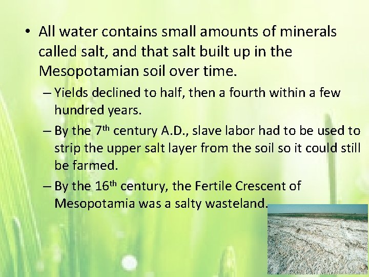  • All water contains small amounts of minerals called salt, and that salt