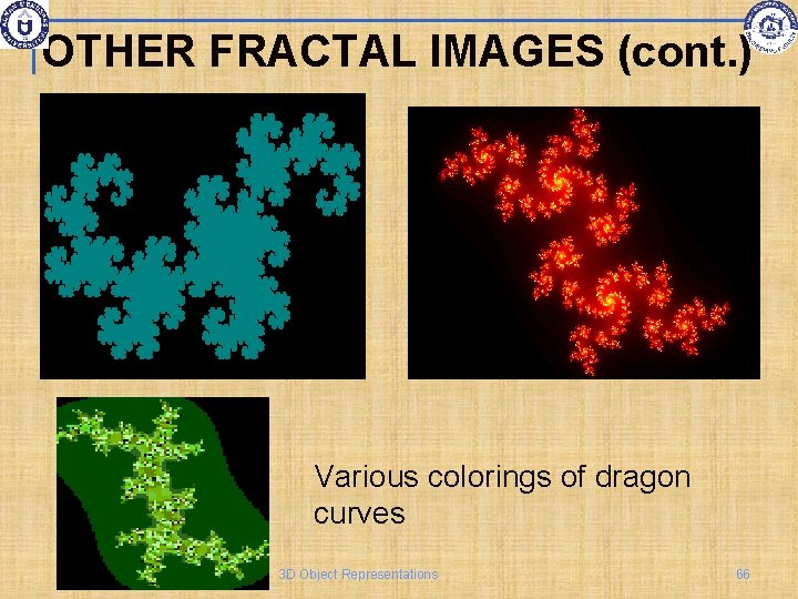 OTHER FRACTAL IMAGES (cont. ) Various colorings of dragon curves 3 D Object Representations
