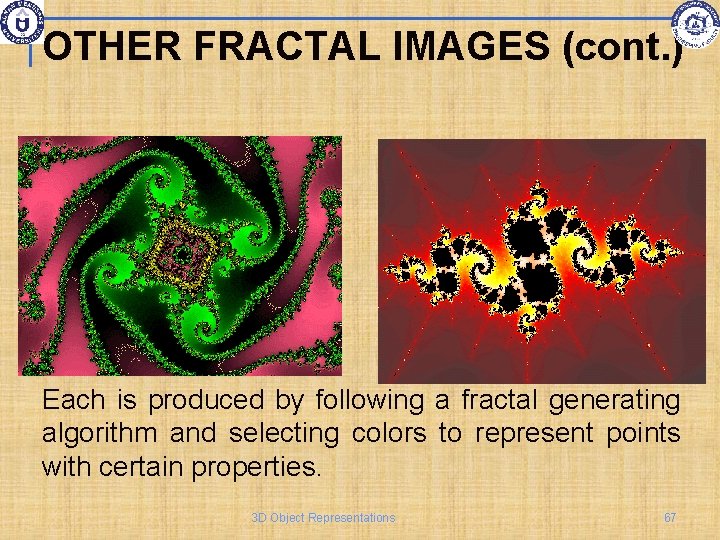 OTHER FRACTAL IMAGES (cont. ) Each is produced by following a fractal generating algorithm