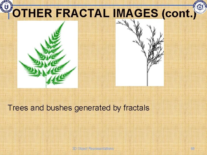 OTHER FRACTAL IMAGES (cont. ) Trees and bushes generated by fractals 3 D Object