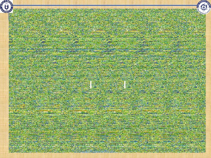 3 D Object Representations 73 