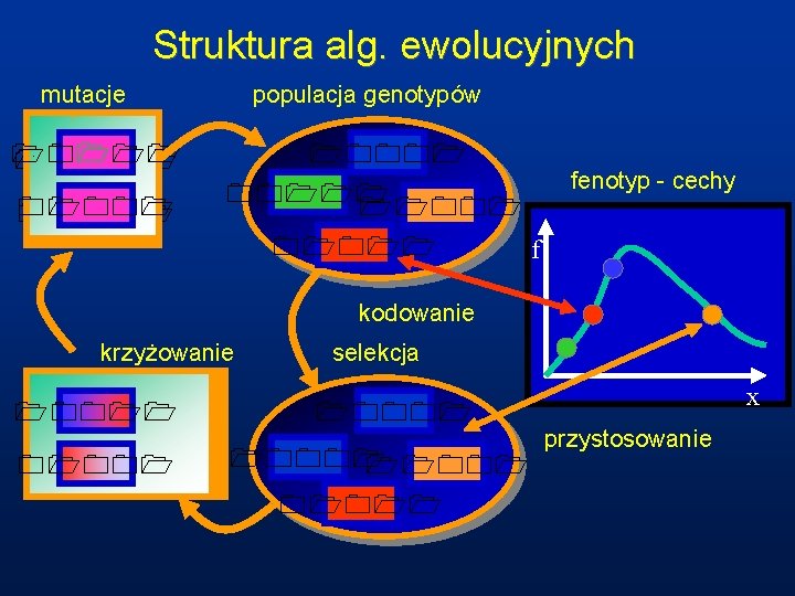 Struktura alg. ewolucyjnych mutacje populacja genotypów 10111 10001 01001 00111 11001 01011 f fenotyp