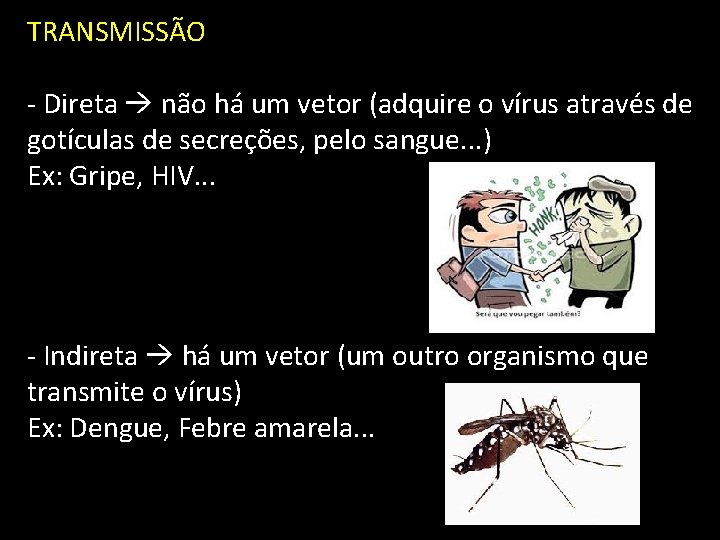 TRANSMISSÃO - Direta não há um vetor (adquire o vírus através de gotículas de