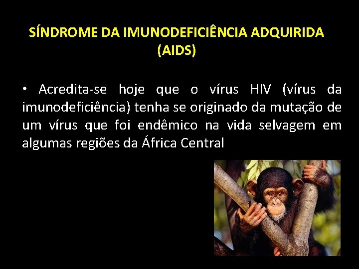 SÍNDROME DA IMUNODEFICIÊNCIA ADQUIRIDA (AIDS) • Acredita-se hoje que o vírus HIV (vírus da