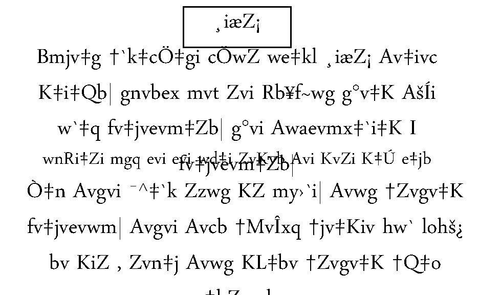 ¸iæZ¡ Bmjv‡g †`k‡cÖ‡gi cÖw. Z we‡kl ¸iæZ¡ Av‡ivc K‡i‡Qb| gnvbex mvt Zvi Rb¥f~wg g°v‡K