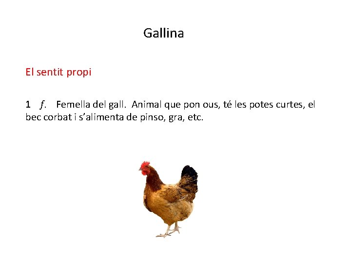 Gallina El sentit propi 1 f. Femella del gall. Animal que pon ous, té Gallina El sentit propi 1 f. Femella del gall. Animal que pon ous, té