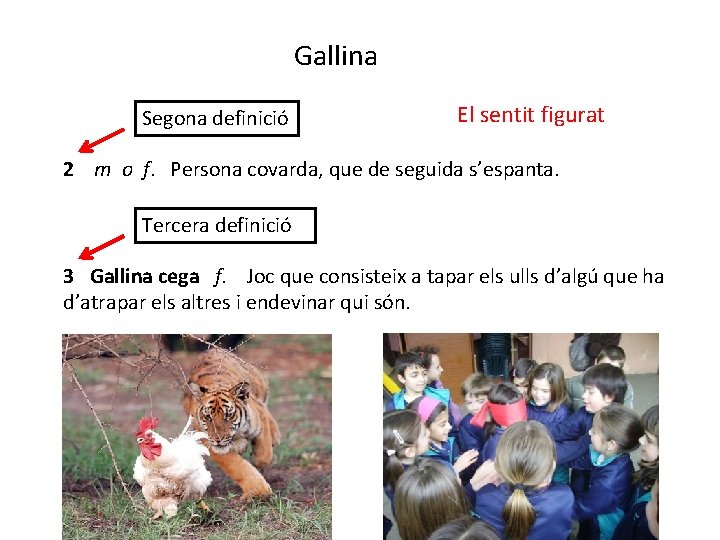 Gallina Segona definició El sentit figurat 2 m o f. Persona covarda, que de Gallina Segona definició El sentit figurat 2 m o f. Persona covarda, que de