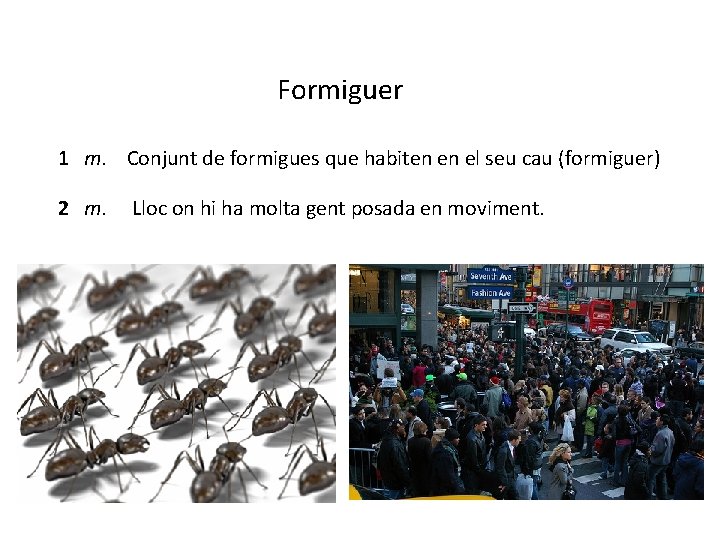 Formiguer 1 m. Conjunt de formigues que habiten en el seu cau (formiguer) 2 Formiguer 1 m. Conjunt de formigues que habiten en el seu cau (formiguer) 2