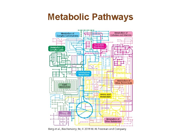 Chapter 15 Metabolism Basic Concepts and Design 2019
