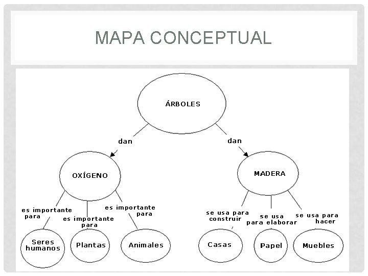 MAPA CONCEPTUAL MAPA CONCEPTUAL