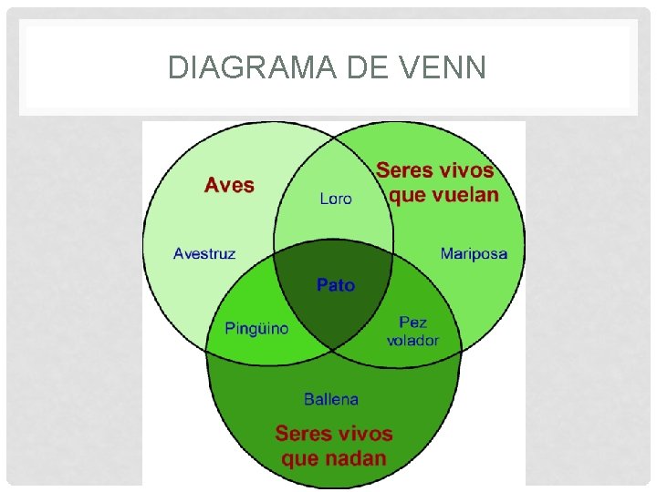 DIAGRAMA DE VENN DIAGRAMA DE VENN