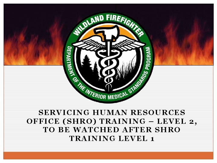 SERVICING HUMAN RESOURCES OFFICE (SHRO) TRAINING – LEVEL 2, TO BE WATCHED AFTER SHRO