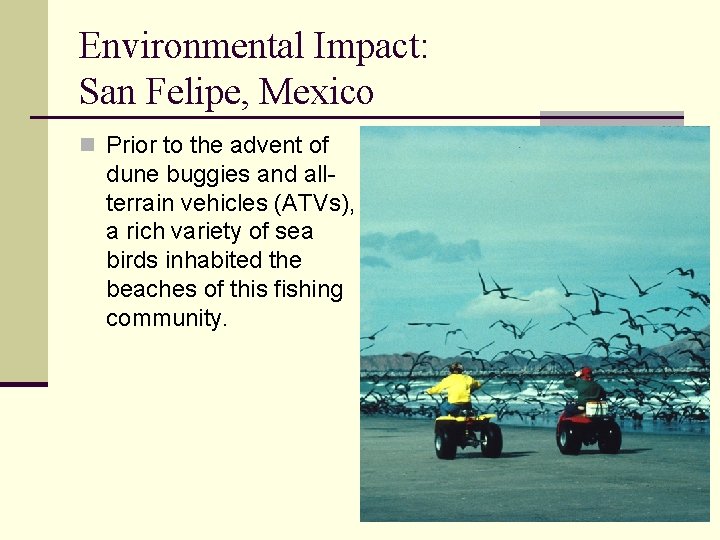 Environmental Impact: San Felipe, Mexico n Prior to the advent of dune buggies and